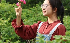 高安子君格桑情歌